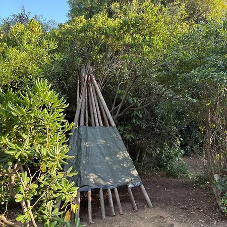 Maison Cigale Ramatuelle * Saint-Tropez