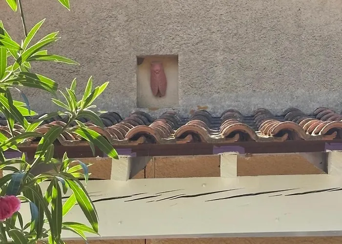 Apartment Maison Cigale Ramatuelle Saint-Tropez